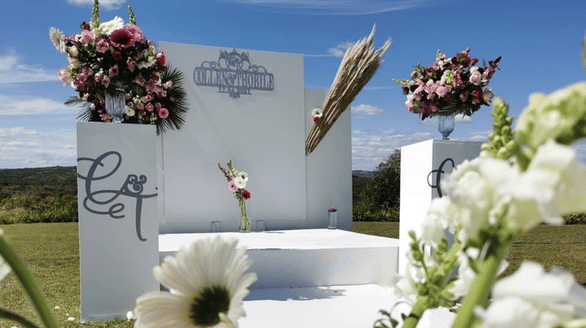 Trudaisy Celebrations | Portfolio